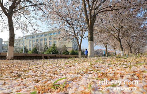 考取对外经济贸易大学在职研究生学位证容易吗